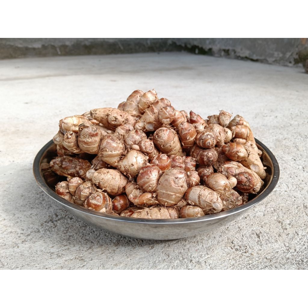 

Kencur Segar Berkualitas Kencur Fresh Murah 1kg