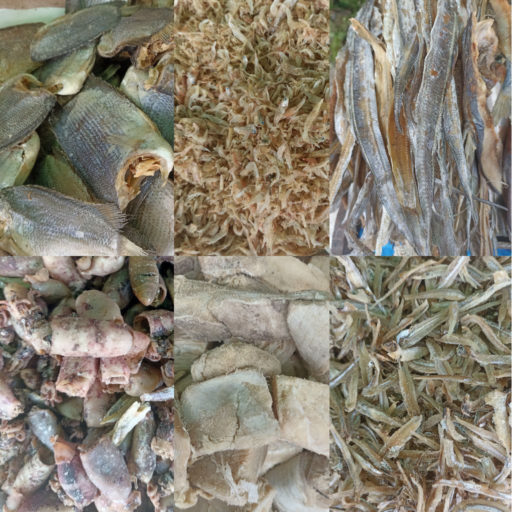 

INSTAN KOTA JAMBI Ikan Asin / Teri Serba 10rb