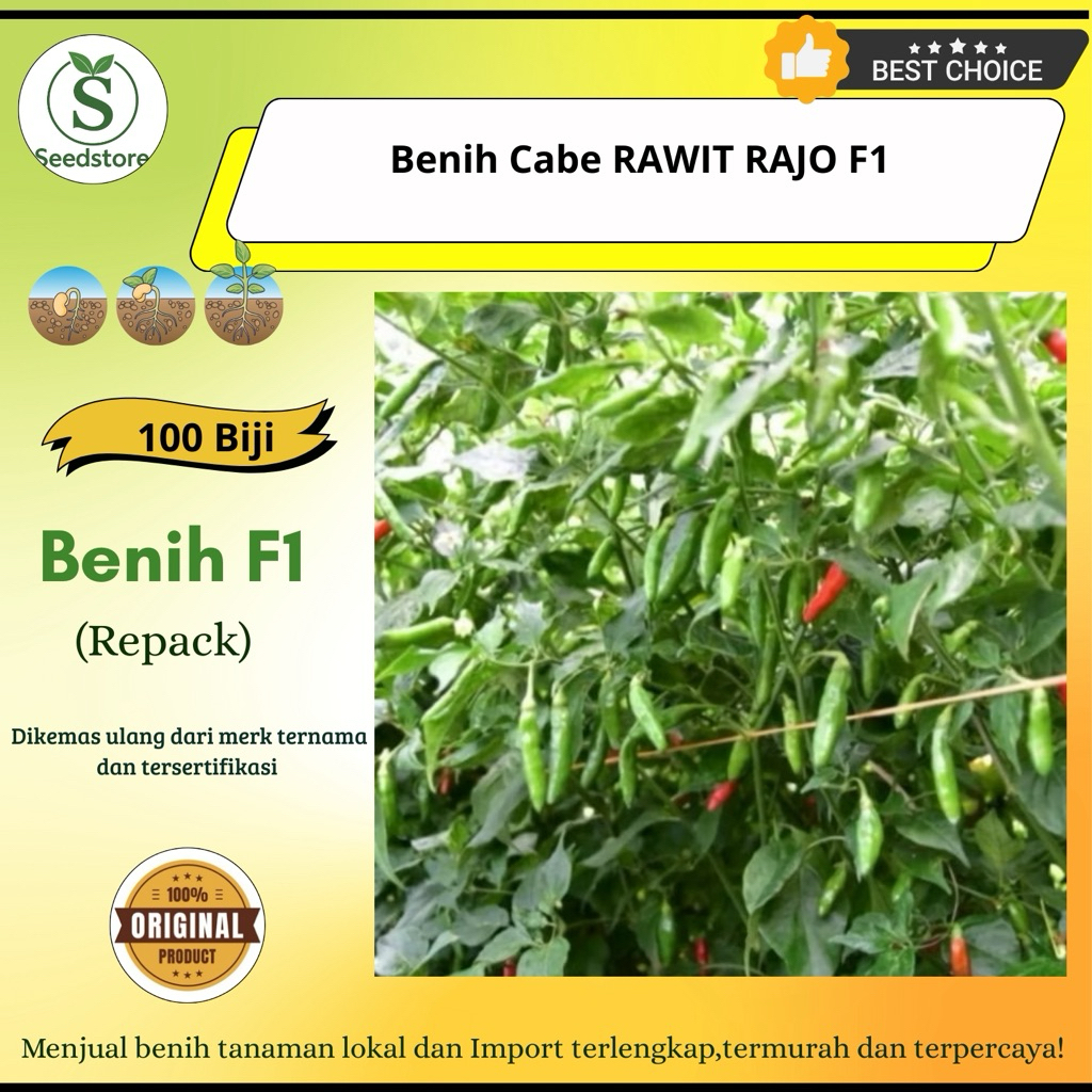 100 Biji - Benih Cabe rawit hijau RAJO - tipe buah merunduk, ukuran besar