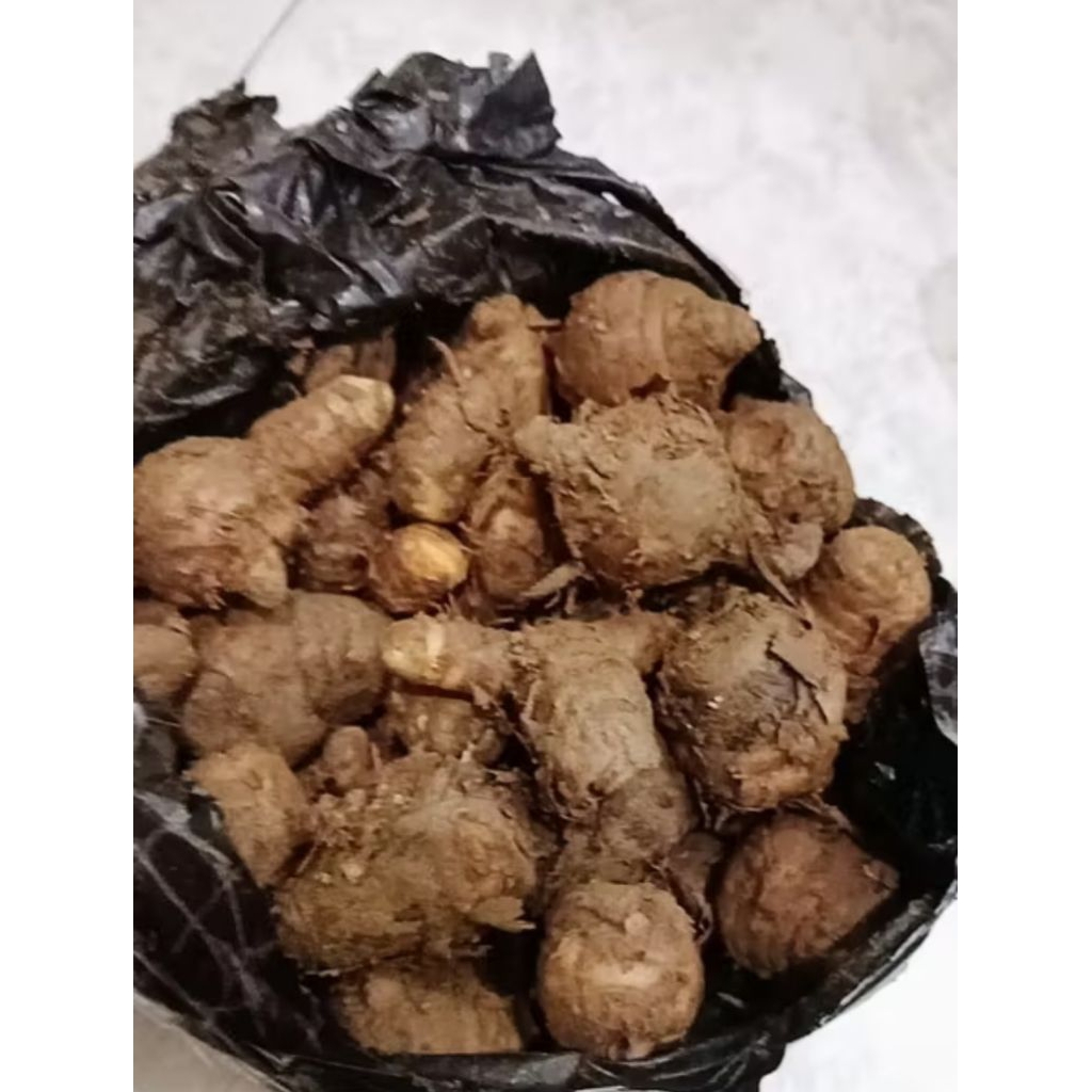 

biang kunyit/biang kunir per 500grm murah dan segar