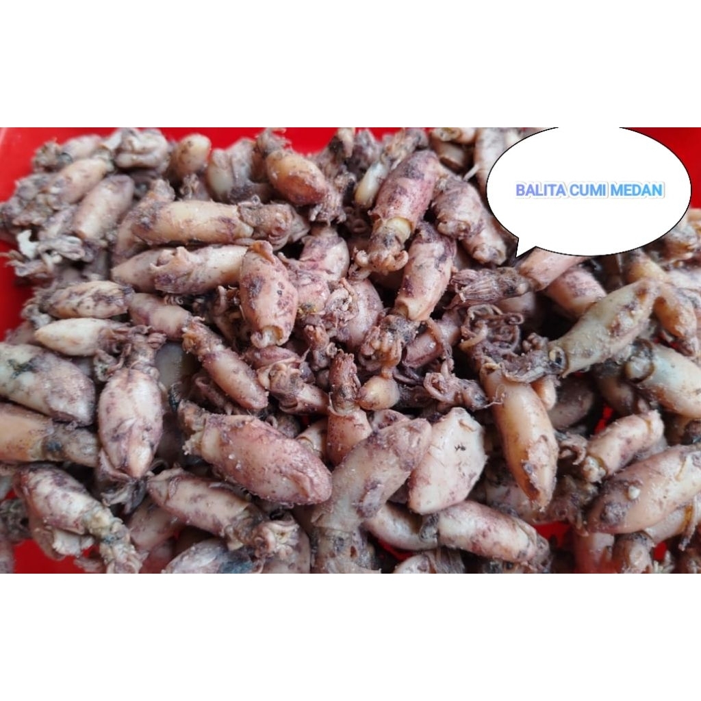 

Balita Cumi Asli Medan 1 kg ( 1000 gram )
