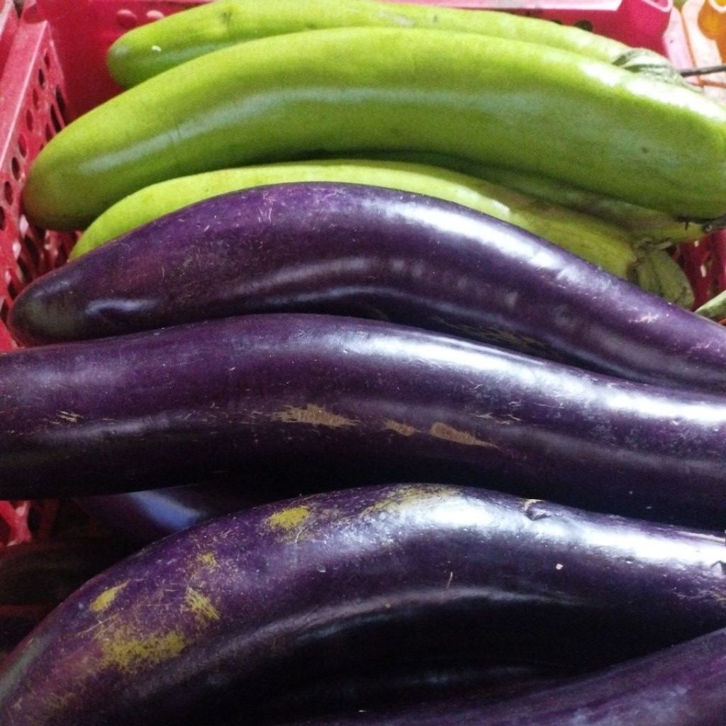 

Terong (Terong Ungu / Terong Hijau) per 500gram