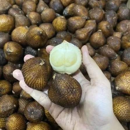 

Buah salak gula pasir manis garing dan fresh 1 kg