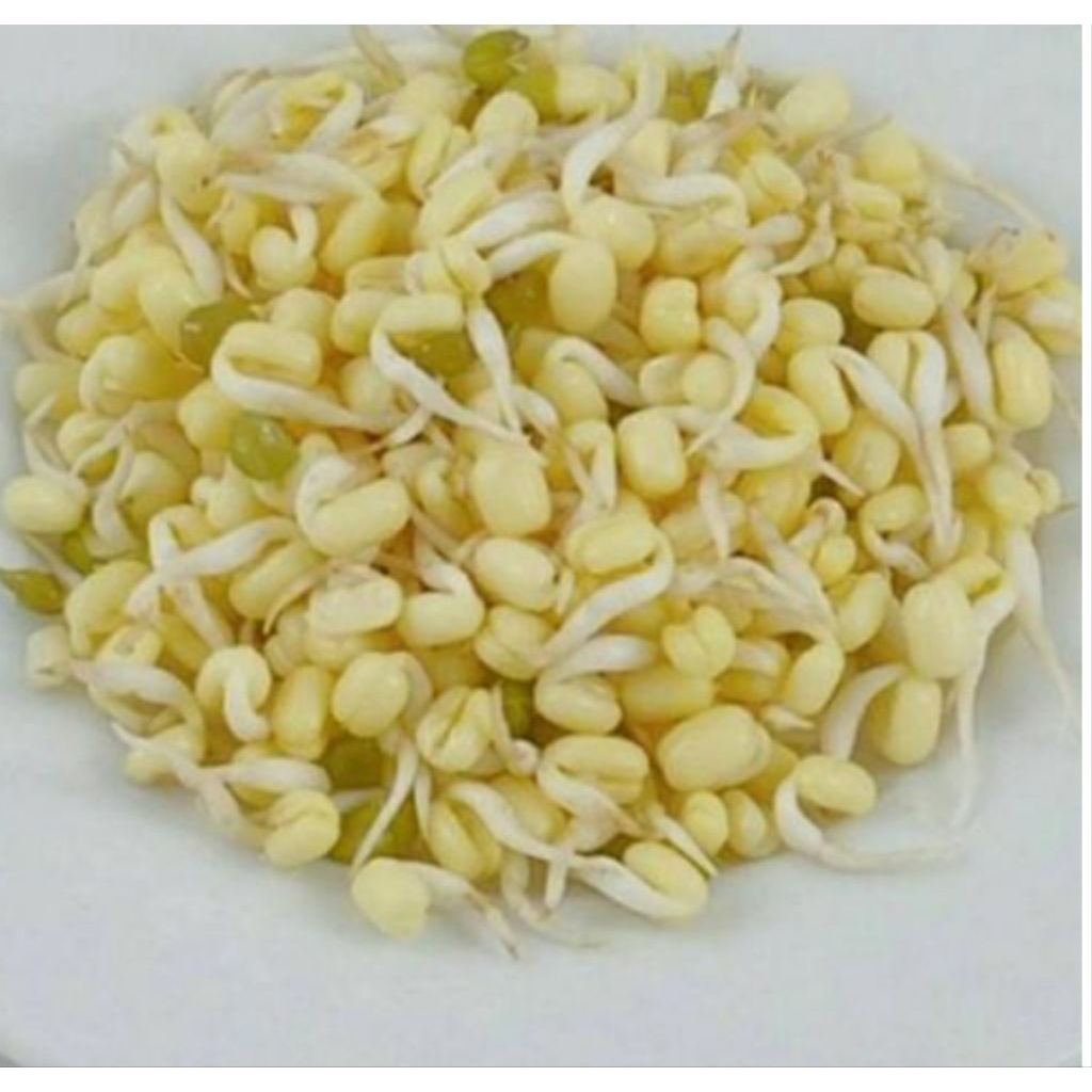 

tauge rawon 250gram bppn