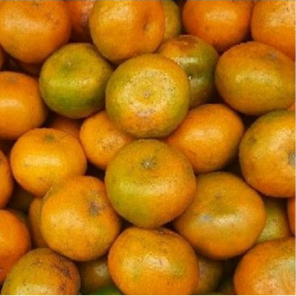 

buah jeruk ponti manis 1kg great B bppn