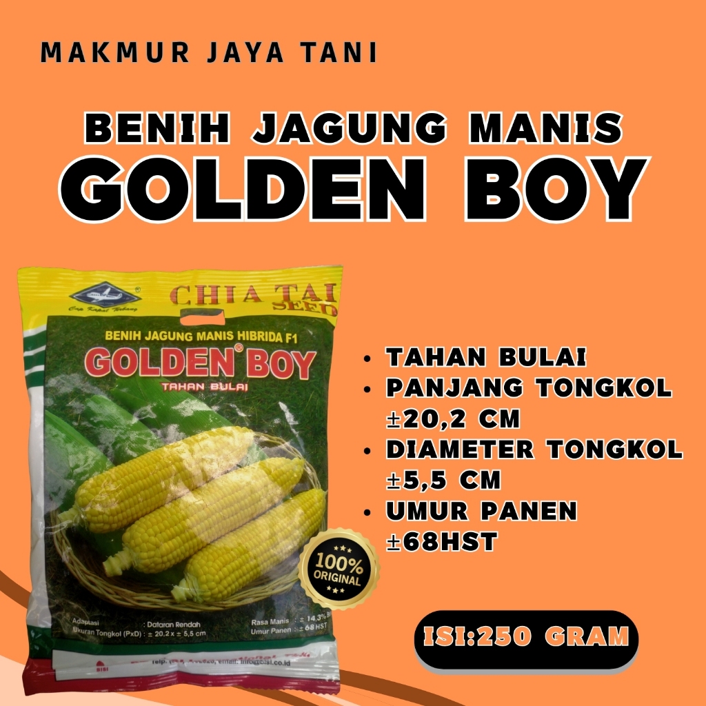 BENIH JAGUNG MANIS GOLDEN BOY F1 (250 GRAM) / BENIH JAGUNG GOLDEN BOY