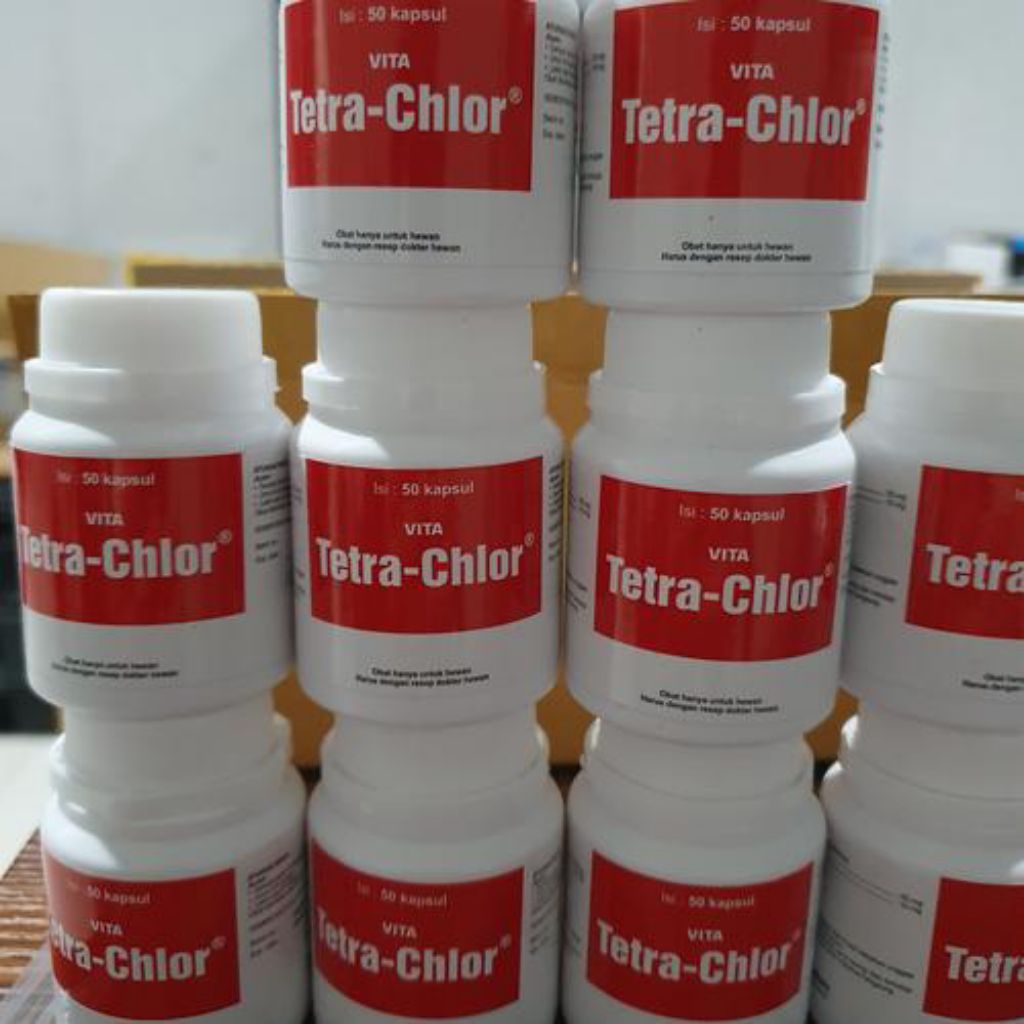 Tetra Chlor botol 50 kapsul