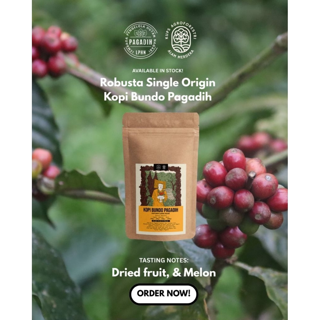 

Kopi Bundo Pagadih – Robusta Honey Roastbean