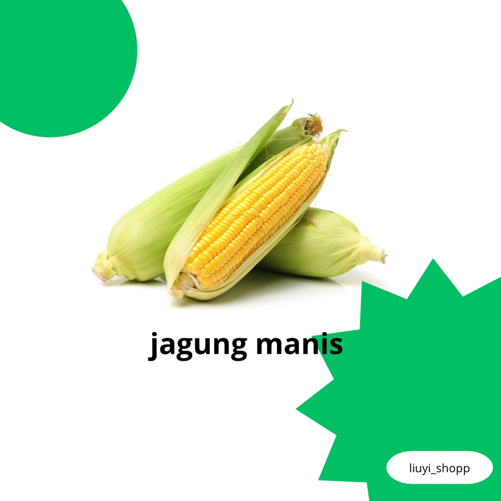 

jagung manis fress paket isi 3