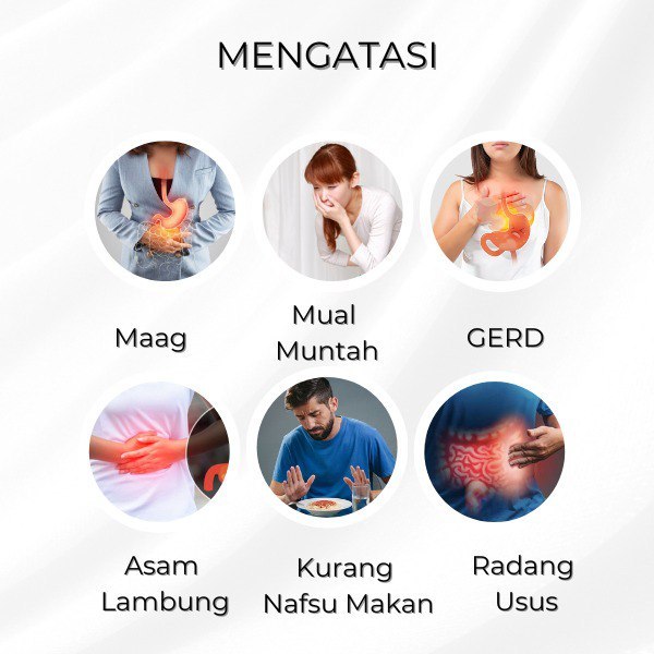 

Milkmag Susu Kambing Herbal Umbi Garut 200gr Obat Maag Gerd Lambung Perih Mual Kembung Radang Usus Cemas Alami Aman Sudah BPOM