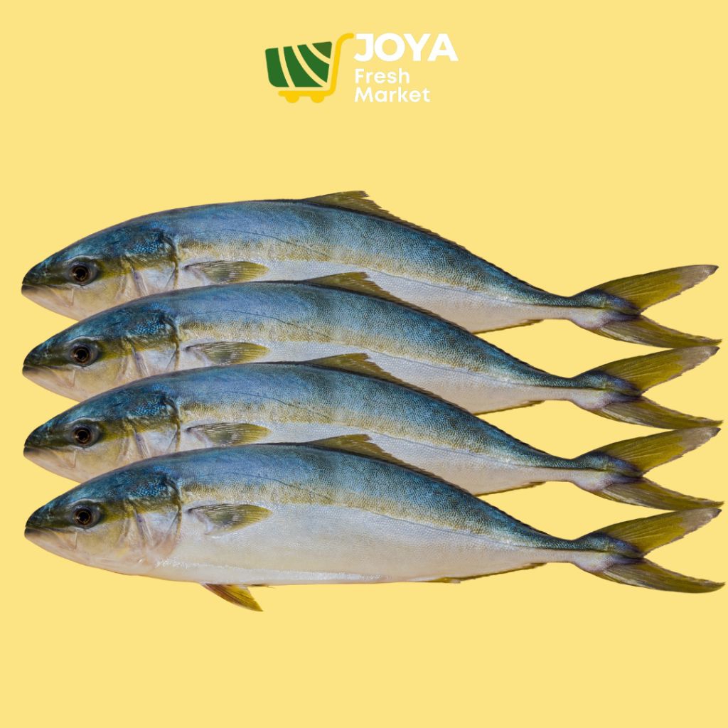 

Joya Fresh - Ikan Salem Segar/Seafood Segar/Ikan Salam Segar/Ikan Salmon Lokal Segar