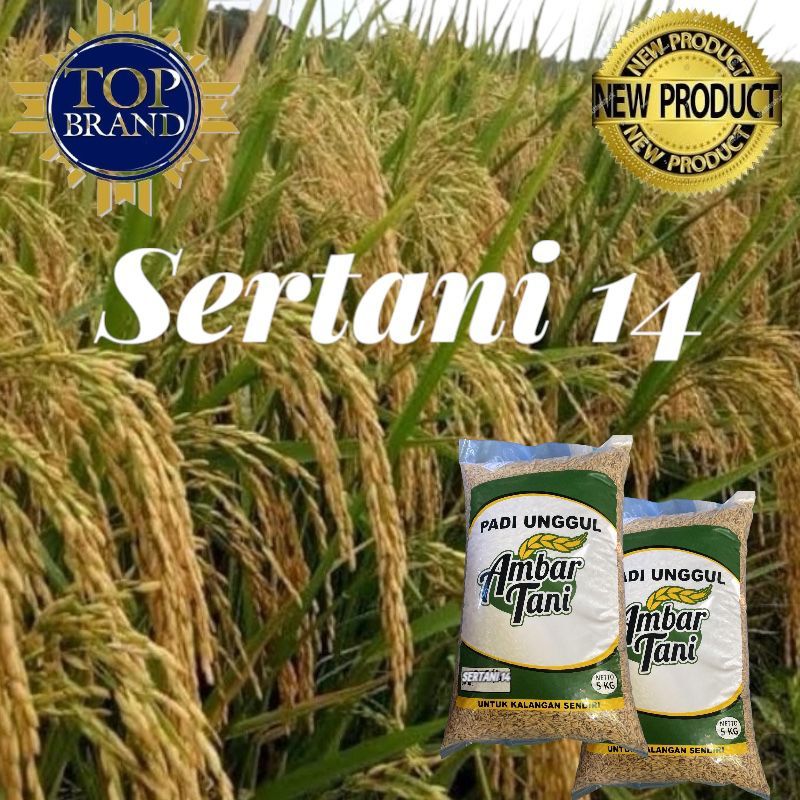 BIBIT BENIH PADI SERTANI 14