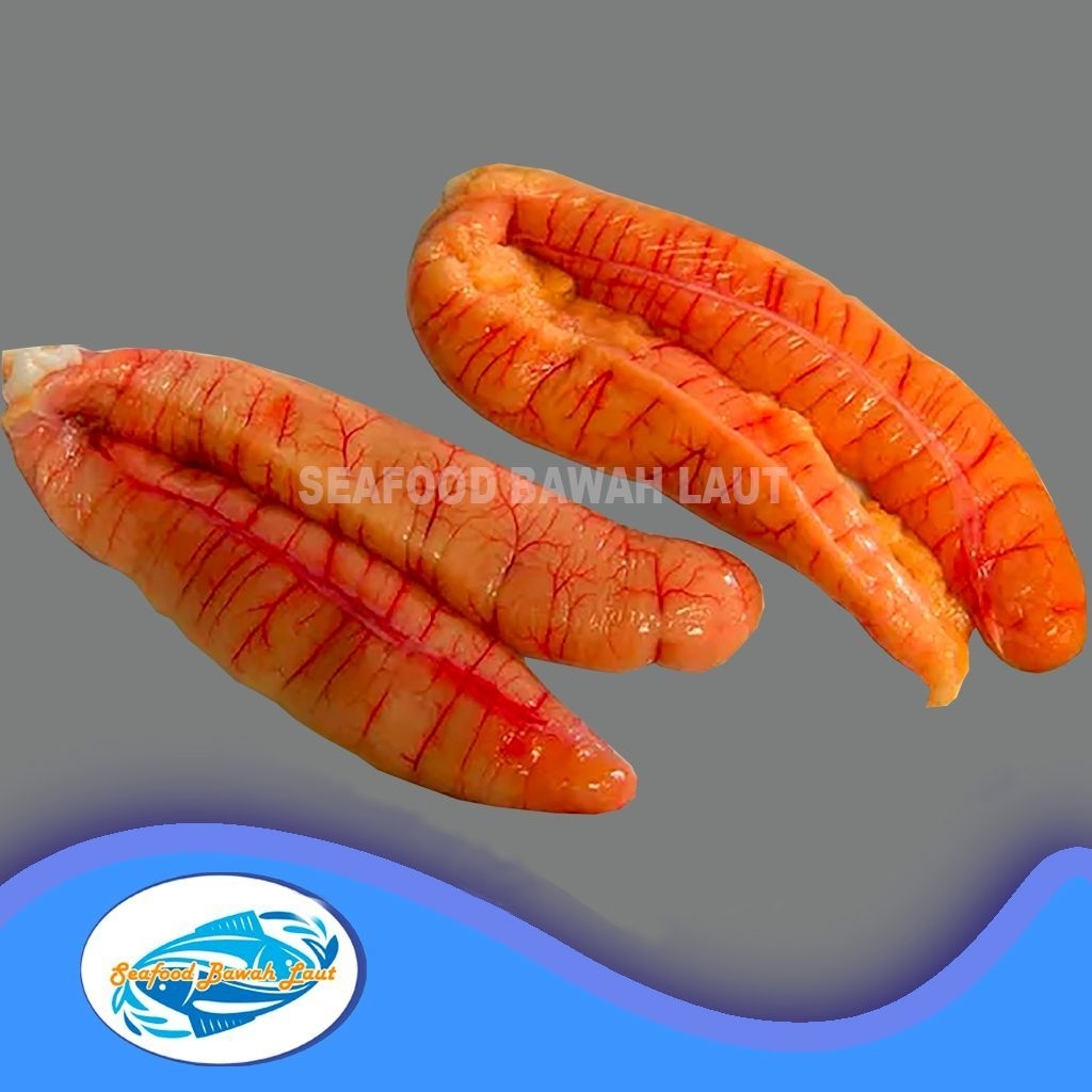 

TELUR IKAN KAKAP (500gr)