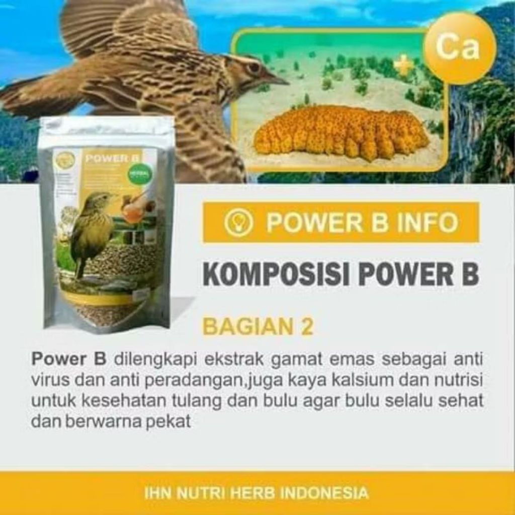 PAKAN BURUNG BRANJANGAN LOKAL / KHUSUS BURUNG BRANJANGAN JAVA PARVA / KHUSUS BURUNG LOMBA / POWER B