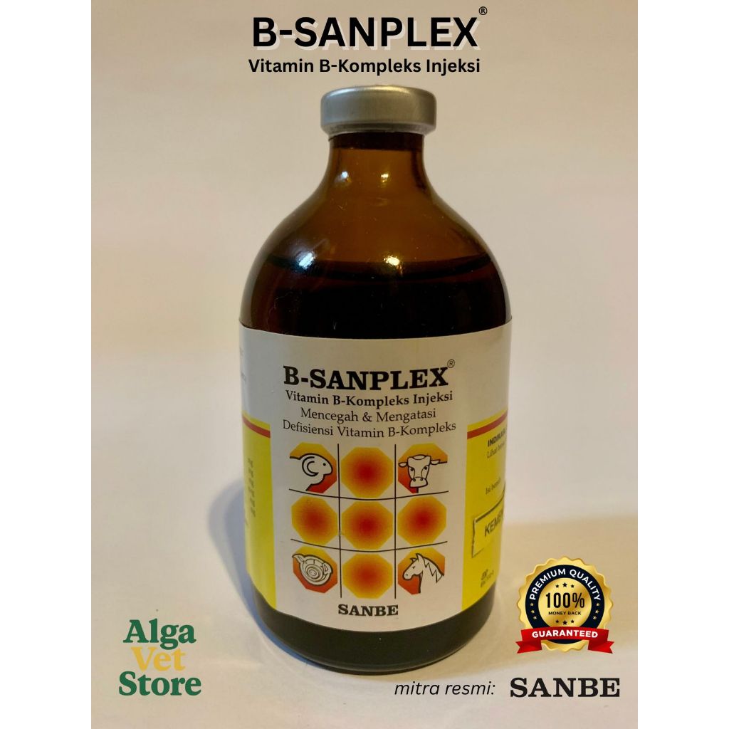 SANBE B-SANPLEX Vitamin B-Kompleks Injeksi 100ml untuk Sapi Kambing Domba