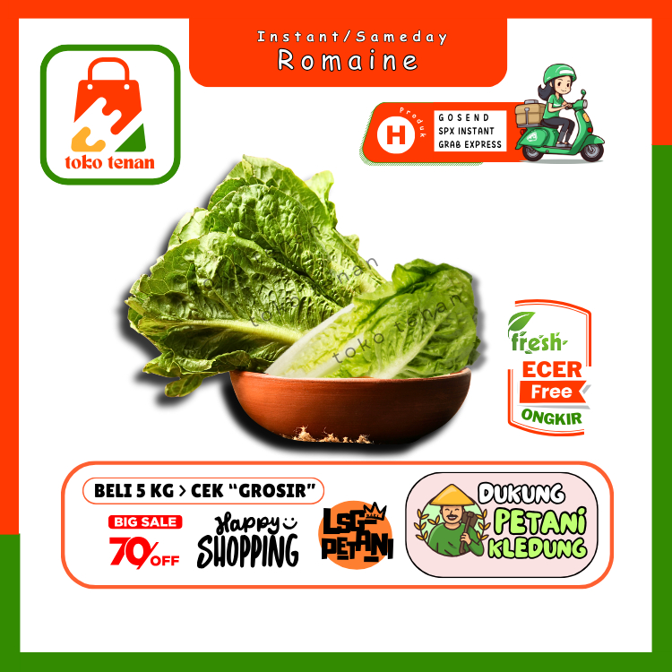 

Tokotenan // SELADA ROMAINE / ROMAINE HIJAU / ROMEN -- Sayur Gunung Ecer(H)