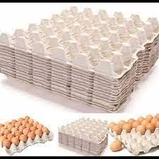 Rak Telur Kertas / Egg Tray Karton – Isi 30 Butir (10 Pcs)