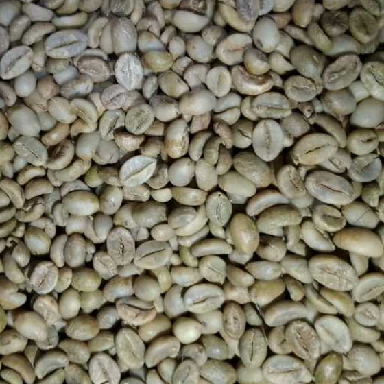 

500Gr Greenbean Robusta Gemawang Temanggung ''Grade 1''