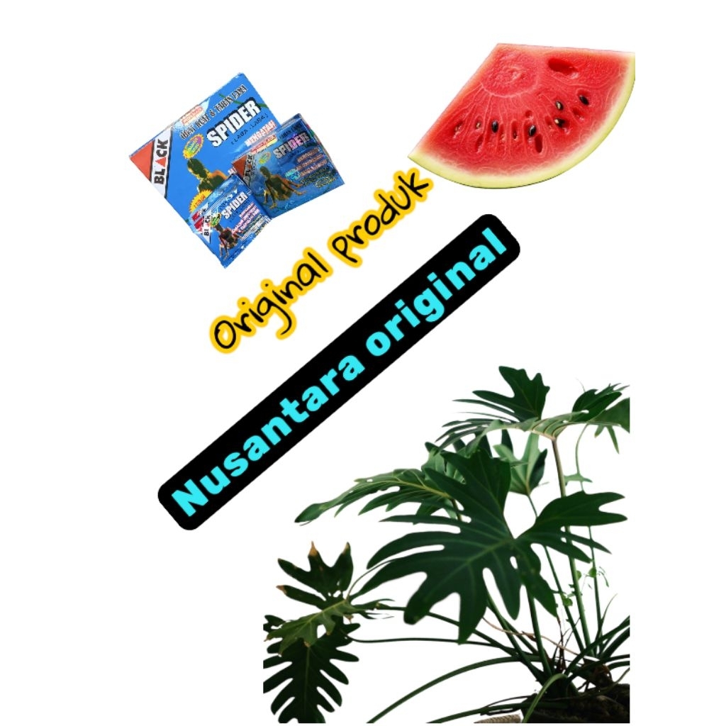 

minuman instan asli original black dari toko Nusantara original