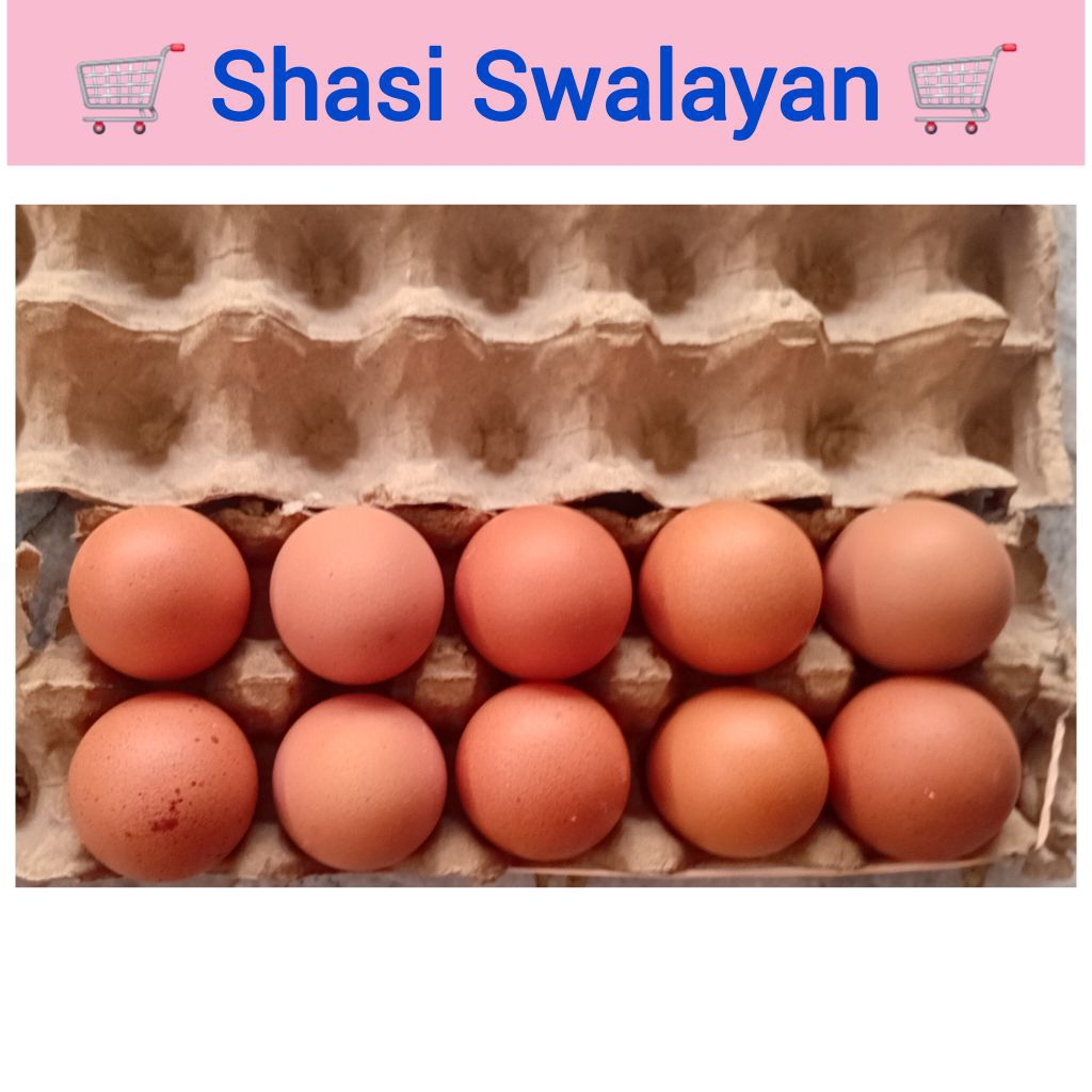 

TELUR AYAM 10 / 15 / 20 / 30 butir