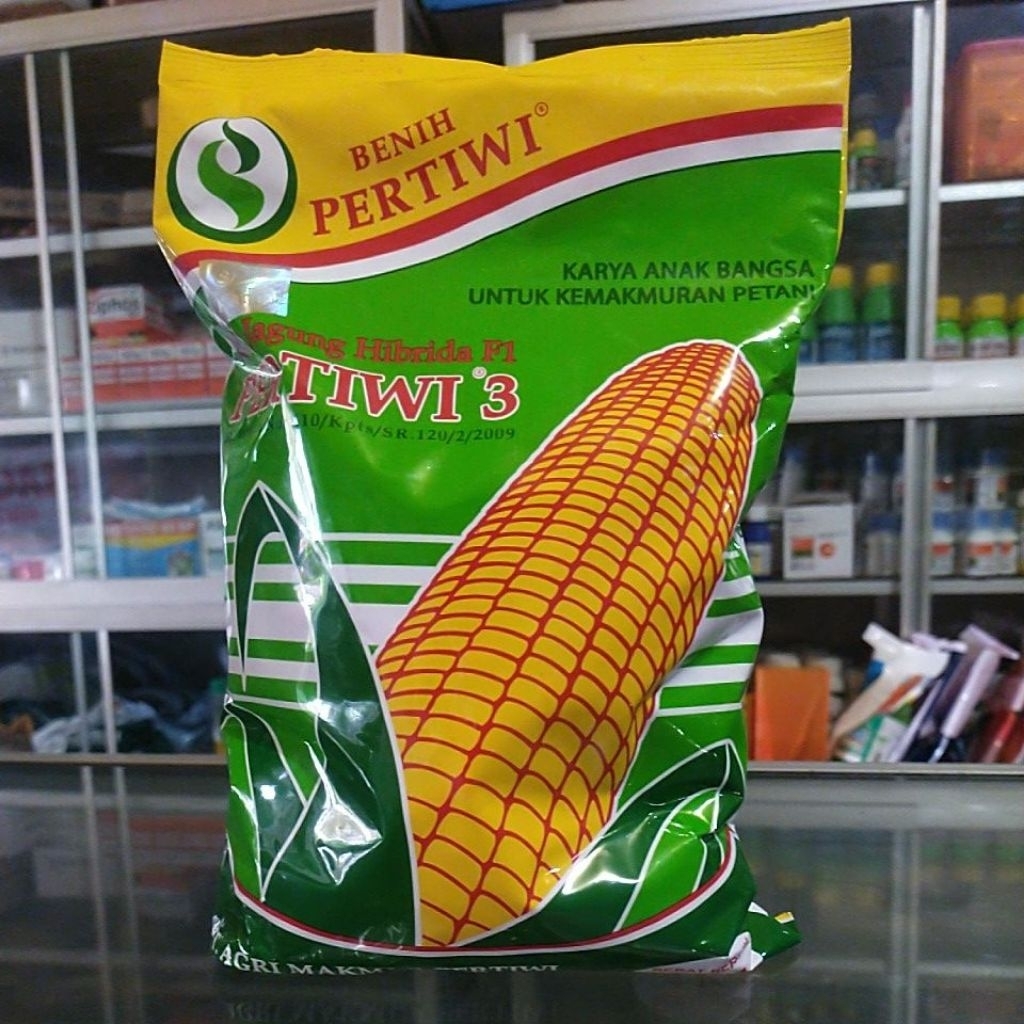BENIH JAGUNG PERTIWI 3