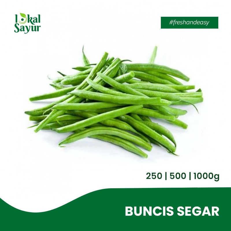 

Lokal Sayur - Buncis Segar Pilihan Kualitas Terbaik