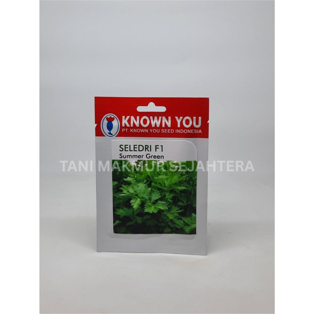 BENIH SELEDRI SUMMER GREEN KNOWN YOU 5GR