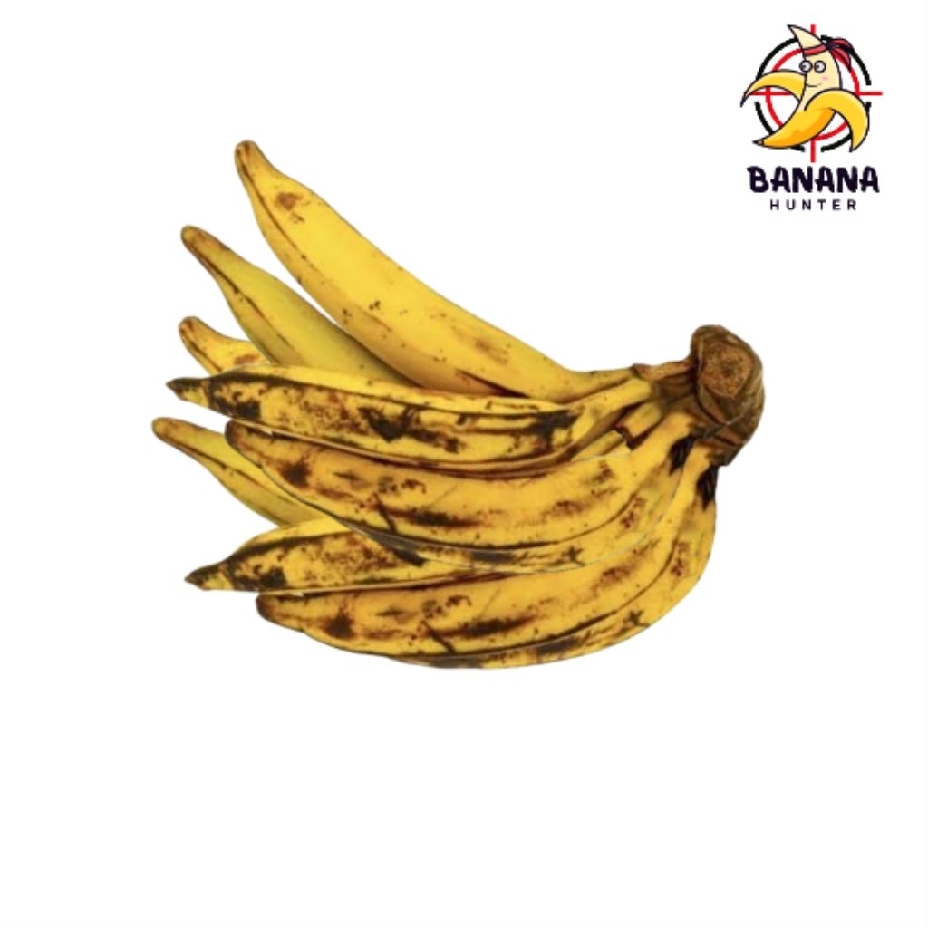 

pisang tanduk/galek murai madu jumbo segar berkualitas