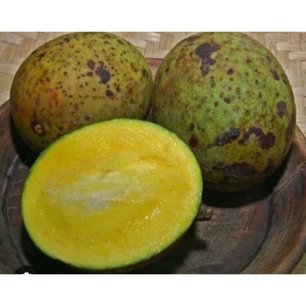 

buah pakel \limus perbiji