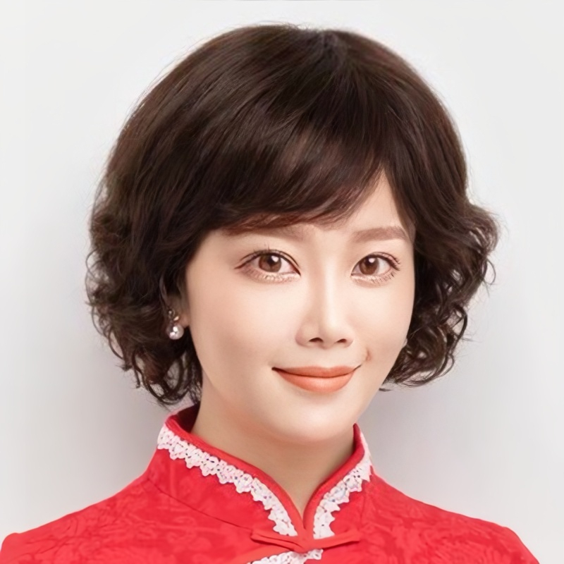 Keriting Wig rambut pendek Wig ibu ibu Wig wanita full kepala Wig daily Rambut palsu wanita  Rambut 