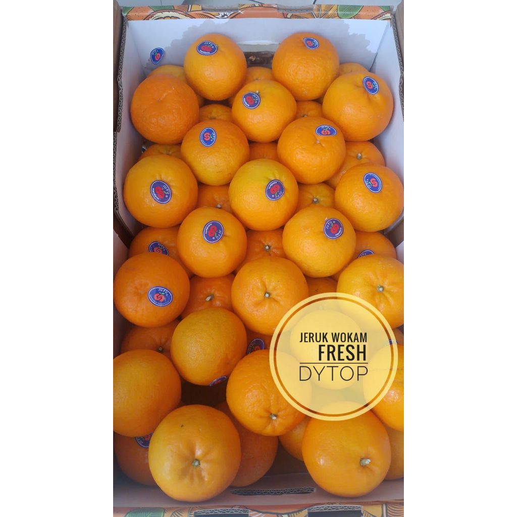 

Buah Jeruk Wogan Jeruk Wokam Fresh Segar Manis