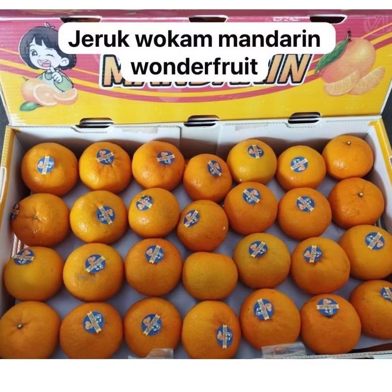 

Jeruk Wokam Mandarin Wonderfruit /kg