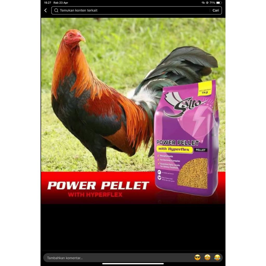 SALTO POWER PELLET