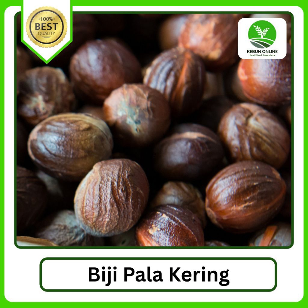 

Biji Buah Pala Kering [500g] Paket Hemat COD Murah