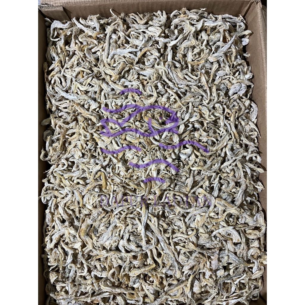 

Ikan Asin Siting / Jambrong Berat 250 gr, 500 gr, & 1000 gr