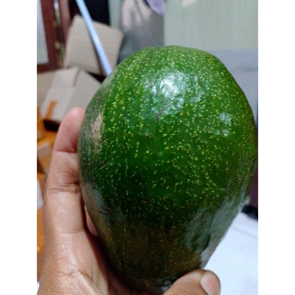 

Alpuket mentega super fresh1kg.isi234