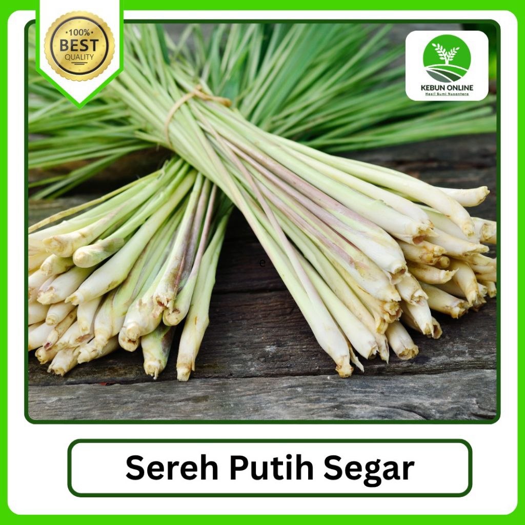

Sereh Putih/ Serai Segar [500g/1000g] Wangi, Murah, Hemat