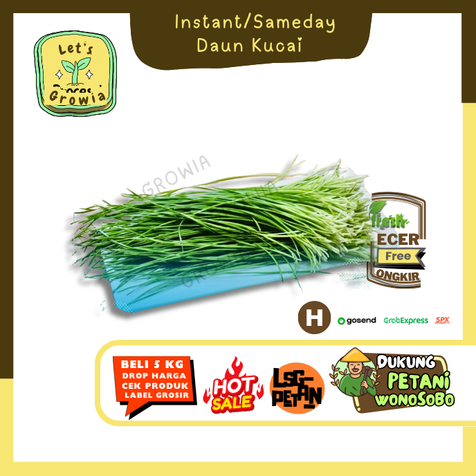 

Growia || Kucai / Daun Kucai -- Hasil Petani Langsung Ecer (H)