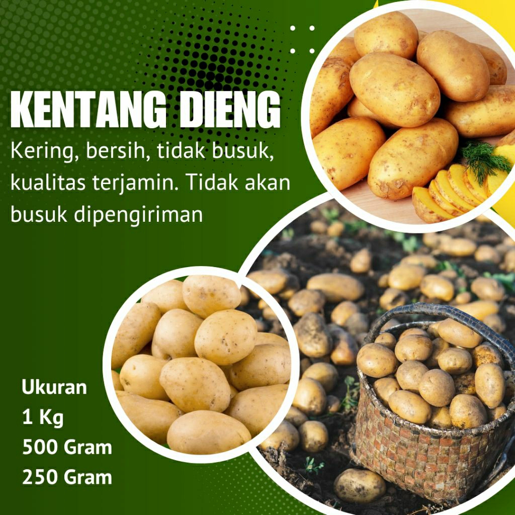 

KENTANG DIENG UKURAN BESAR, ISI KUNING, BERSIH TIDAK BUSUK