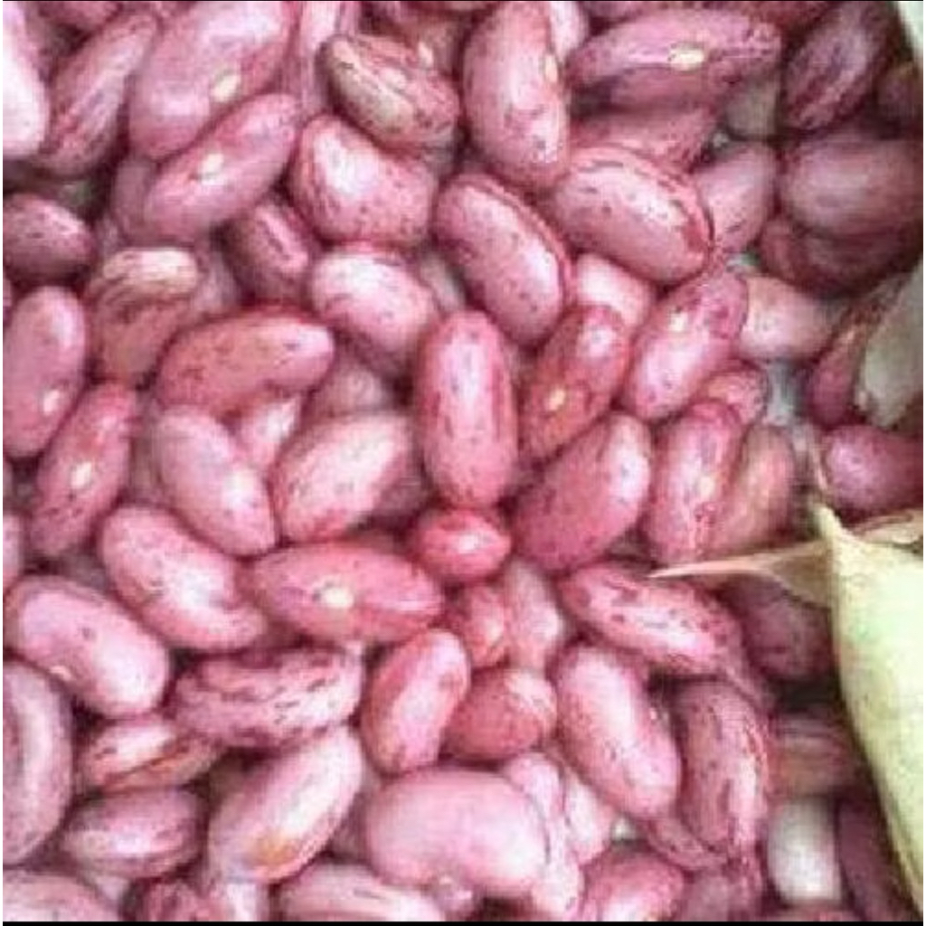 

Kacang Merah / Kacang Jogo 250 Gram
