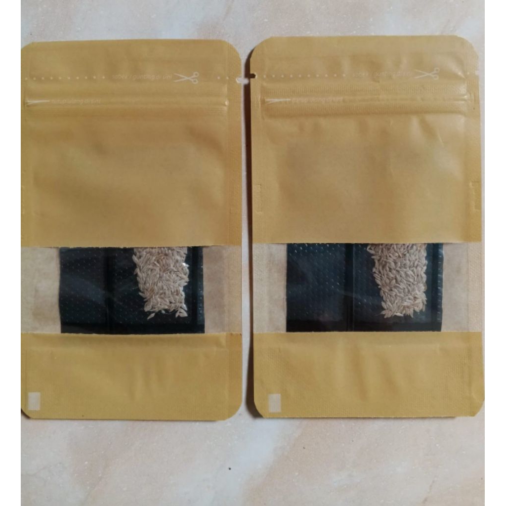 Benih Selada Batavia Caipira F2