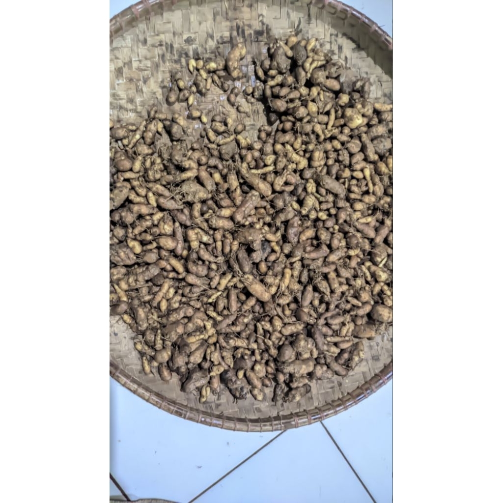 

umbi gembili/umbi kumeli/kentang kecil 1KG 16000