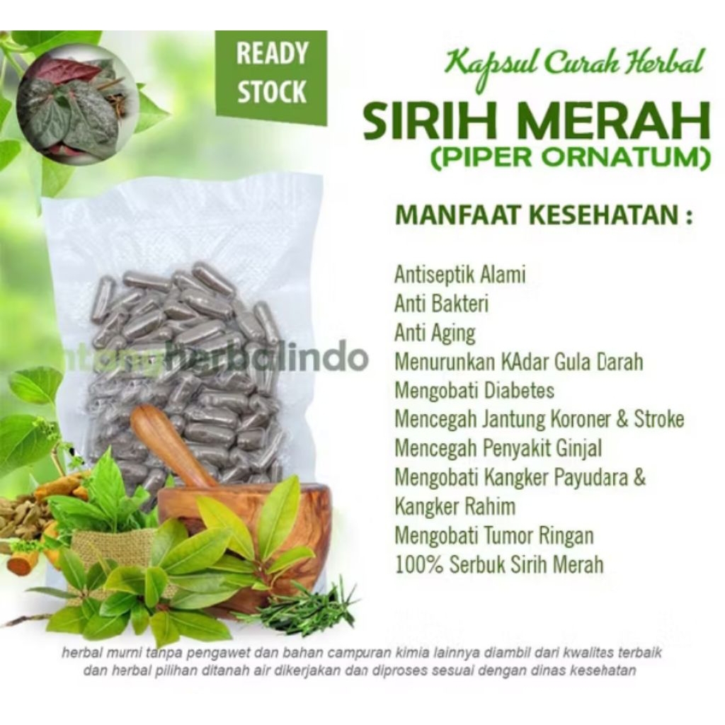 Kapsul Daun Sirih Merah  (isi 100)