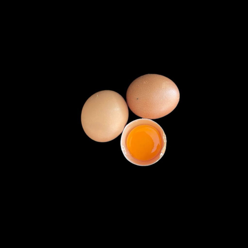 

TELUR AYAM OMEGA BUTIRAN