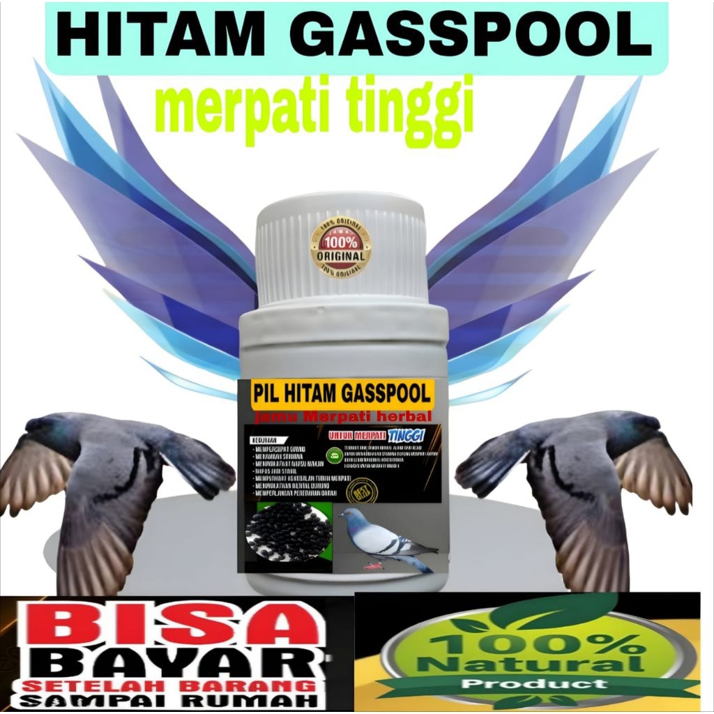 Doping merpati pil Hitam gasspool jamu merpati herbal giring keket paling ampuh dalam 2 hari jamu me
