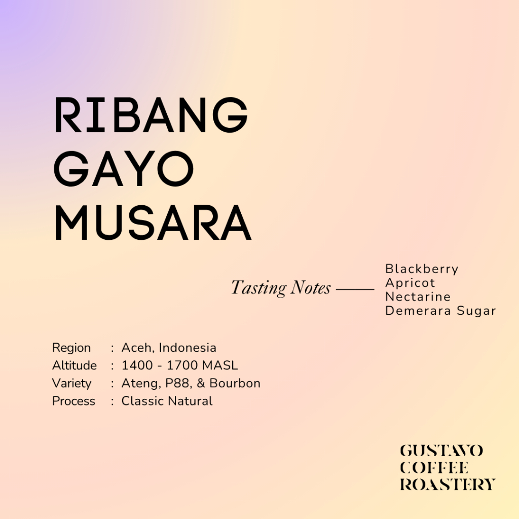 

Biji Kopi Arabika RIBANG GAYO MUSARA CLASSIC NATURAL Single Origin Gustavo