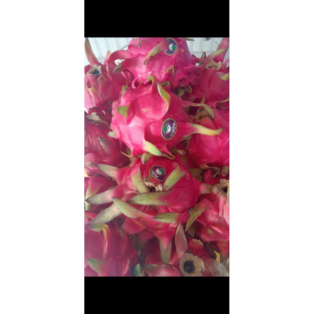 

naga merah organik manis poll
