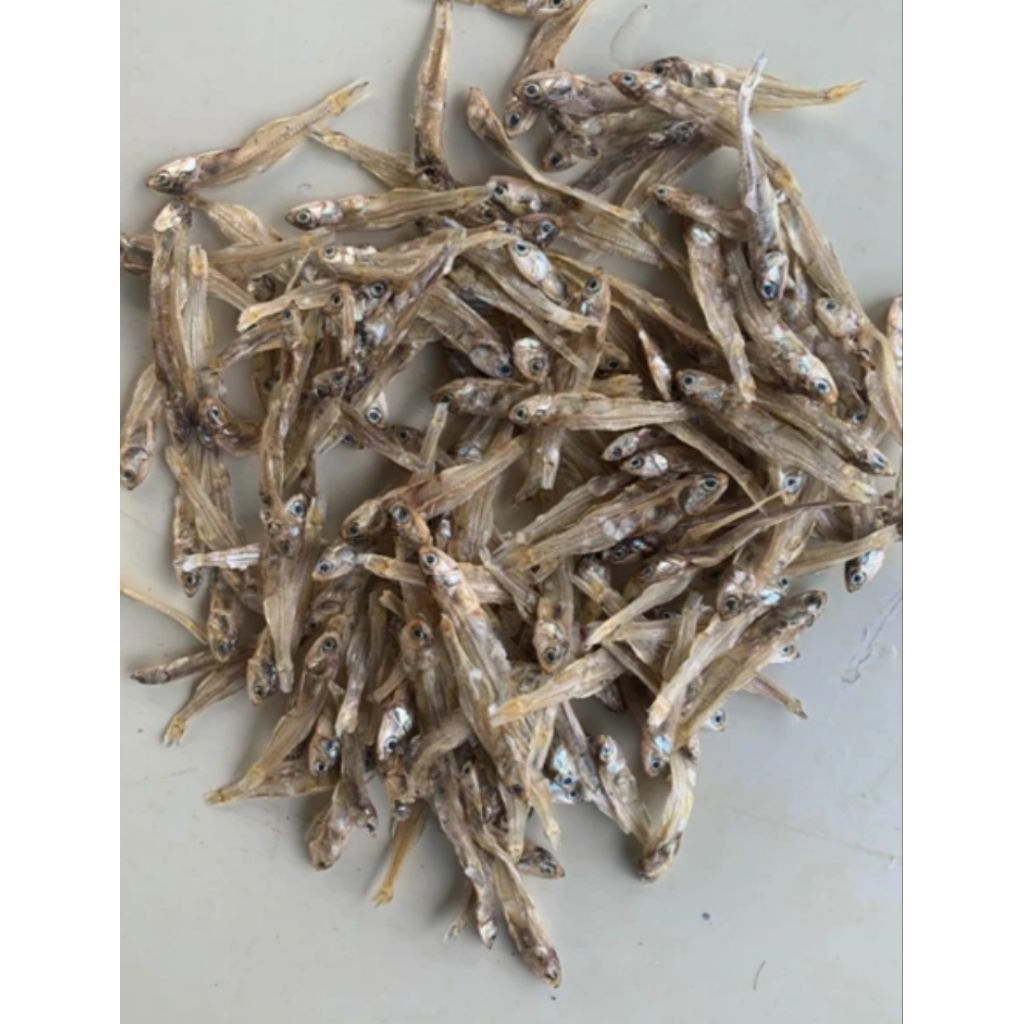 

ikan asin teri