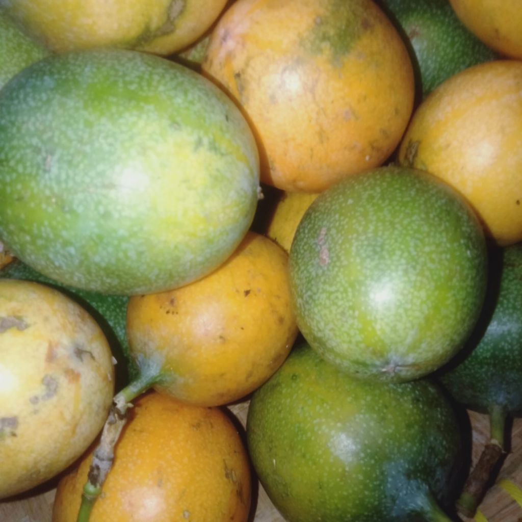 

jual 500gr MARKISA MADU/KONYAL MADU MANIS