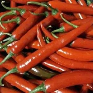 

Cabe Merah Besar 100gr